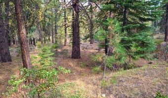 Yak Lane, Bonanza, OR 97623