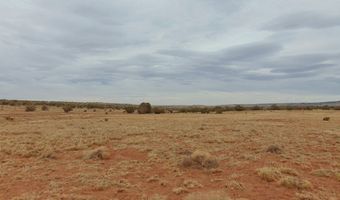 42 N5576, Concho, AZ 85924