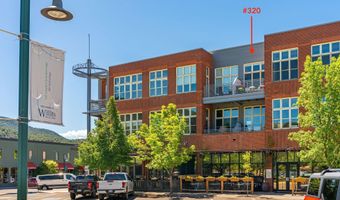 231 Robinson St 320, Basalt, CO 81621