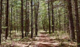 5826 S Morrison Rd, Alger, MI 48610