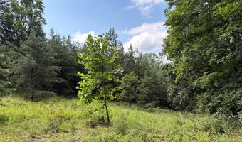 26 33 ACRES HICKORY CORNER Rd, Augusta, WV 26704