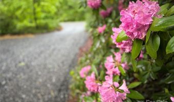 12 Thumper Ln, Arden, NC 28704