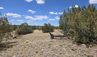 165 Off Old Hwy 66, Ash Fork, AZ 86320