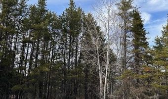 TBD Hwy 21, Babbitt, MN 55706
