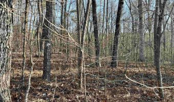 0009 SPRINGHOLLOW Rd Lot 9, Ashville, AL 35953