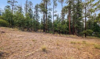 6 Co Rd 2074, Alpine, AZ 85920