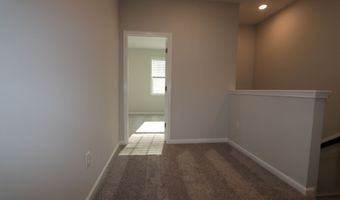 2803 Carbondale Ct, Apex, NC 27502