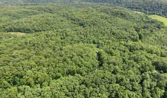 2401 Bell Point Rd, Beattyville, KY 41311