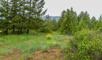 2420 CEDONIA ADDY Rd, Addy, WA 99101