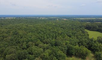 3899 County Road 304, Alton, MO 65606
