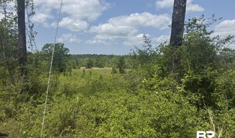 39207 St Hwy 59, Bay Minette, AL 36507