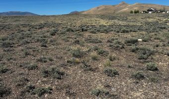 6 Homestead Trl, Challis, ID 83226