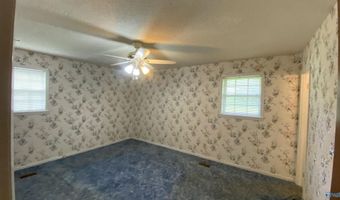 1007 Julian Ave, Albertville, AL 35976