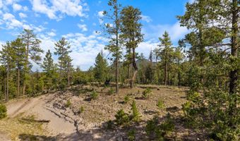 CR 2193, Alpine, AZ 85920