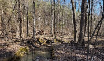 MOUNTAIN CUT RD lot D, Appomattox, VA 24522