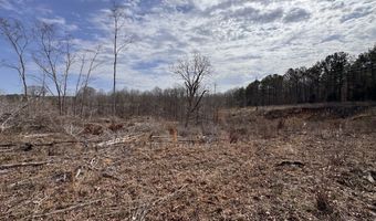 0 County Road 217 Lot 1, Blue Springs, MS 38828