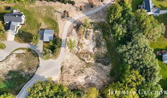 60 Ada Hills Dr, Ada, MI 49301