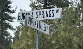 517 Eureka Springs Dr, Blairsden, CA 96103