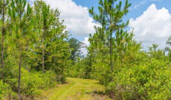 Val Del Road, Adel, GA 31620