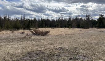 5280 Cathro Rd, Alpena, MI 49707