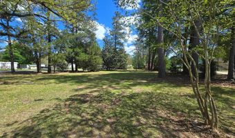 98 Old Cemetary Rd, Andrews, SC 29510