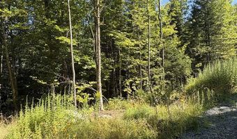 Old Franconia Road, Bethlehem, NH 03574