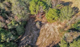 0 County Road 127, Banks, AL 36005