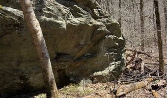 Tdb Nettles Ridge Road, Banner Elk, NC 28604