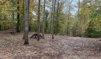 Lt4 & 5 Woodsdale Estates, Albany, KY 42602