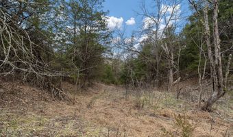 Smithtown Road, Afton, TN 37616