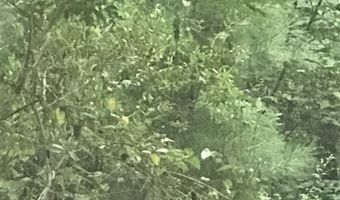 POLARIS CIRCLE lot 9, Alpine, AL 35014