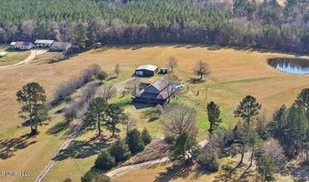 766 Pinola Braxton Rd, Braxton, MS 39044
