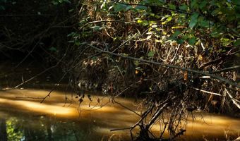 501 Caldwell Rd, Blacksburg, SC 29702