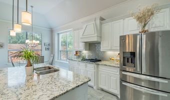 1008 Natalie Ct, Allen, TX 75013