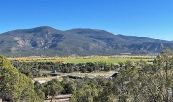 440 Run Around Rd, Arboles, CO 81121