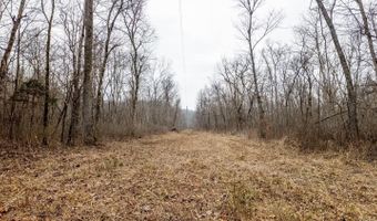 County Road 19-A, Alton, MO 65606