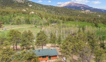 839 Ski Rd, Allenspark, CO 80510
