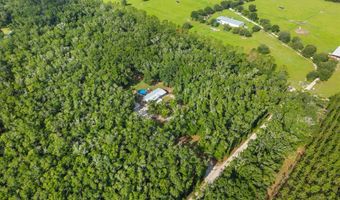 6679 NW 27th Pl, Bell, FL 32619