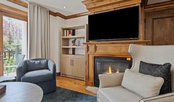 415 E Dean St Unit 20 Week 33, Aspen, CO 81611