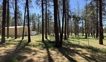 10742 Yonna Dr, Bonanza, OR 97623