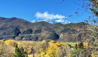 216 E Homestead Dr, Basalt, CO 81621