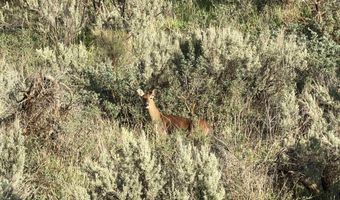 2006 Swenson Valley Rd, Bancroft, ID 83217
