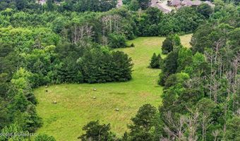 Vine Drive, Brandon, MS 39047