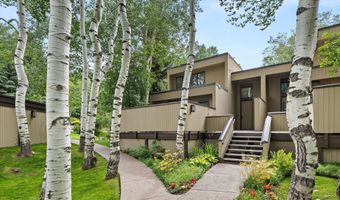 1443 Crystal Lake Rd 3E, Aspen, CO 81611
