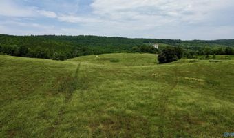 120 Carnes Chapel Rd, Attalla, AL 35954