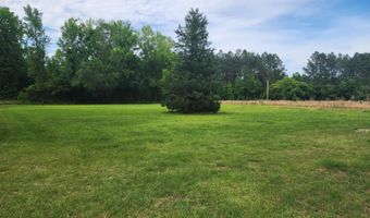 1228 Caw Caw Swamp Rd, Brunson, SC 29911