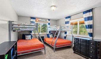 1233 Baldy Rd, Breckenridge, CO 80424