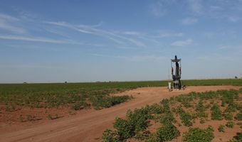 FM 597, Abernathy, TX 79311