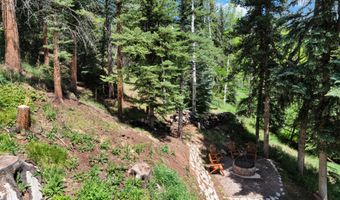 1373 McLaughlin Ln, Basalt, CO 81621