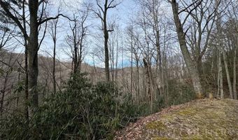 2 13 Acres Big Ridge Rd, Bakersville, NC 28705